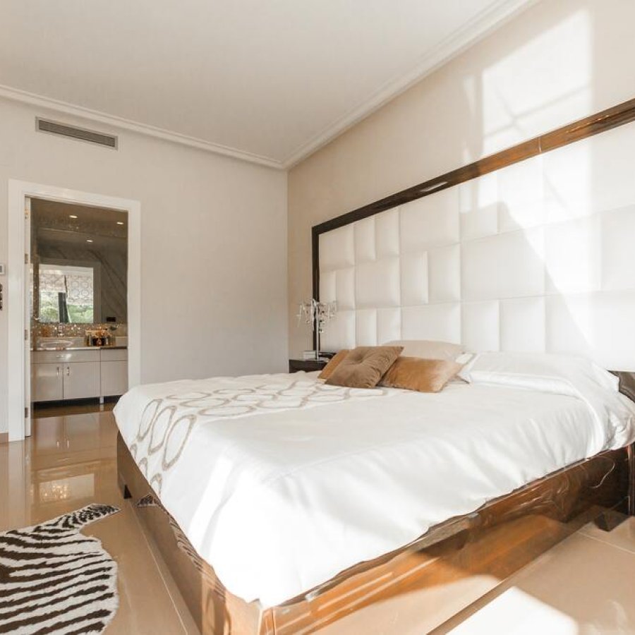 Hotel Alex